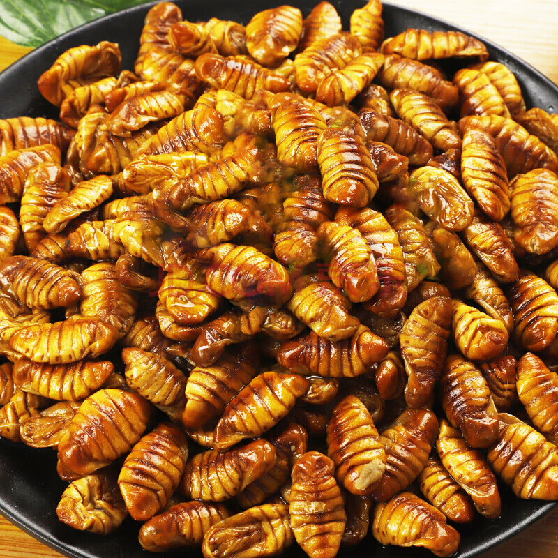 棠鲜生 蚕蛹山东农家新鲜干净桑蚕蛹生蚕蛹黄金蚕蛹湿蚕蛹蝉蛹 5斤装