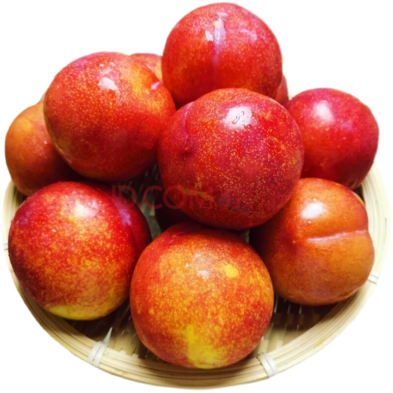 【顺丰京东】东北大红袍李子干核干碗应季水果新鲜 大红袍李子大果5斤