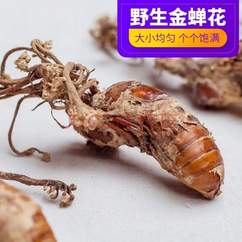 金蝉花中药材金蝉花500g克新货大别山竹林蝉花知了花大虫草 100克