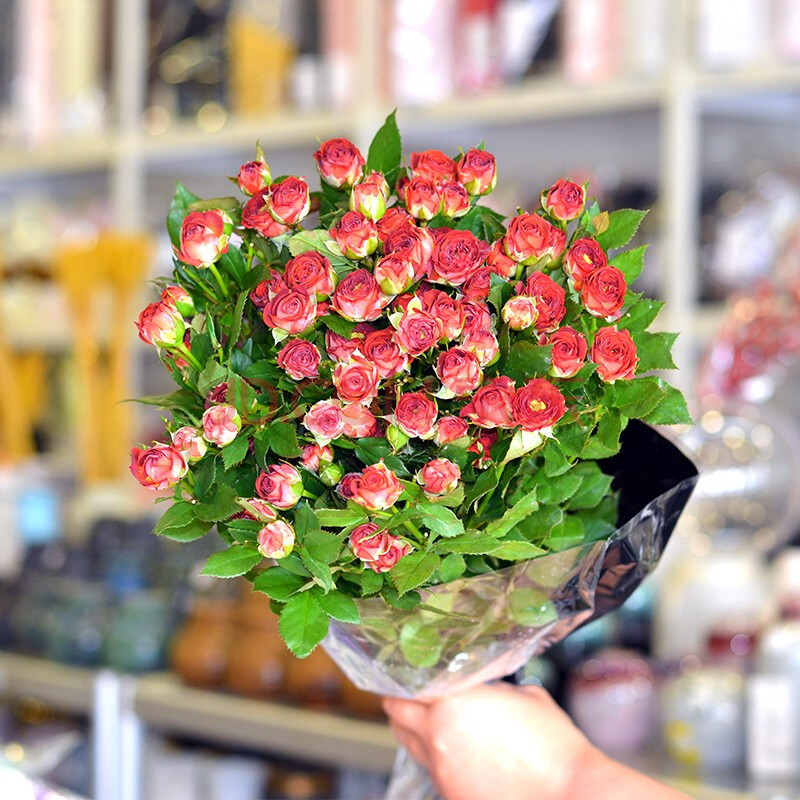 花妍巧语 巧克力泡泡多头玫瑰 10支/1扎 巧克力泡泡