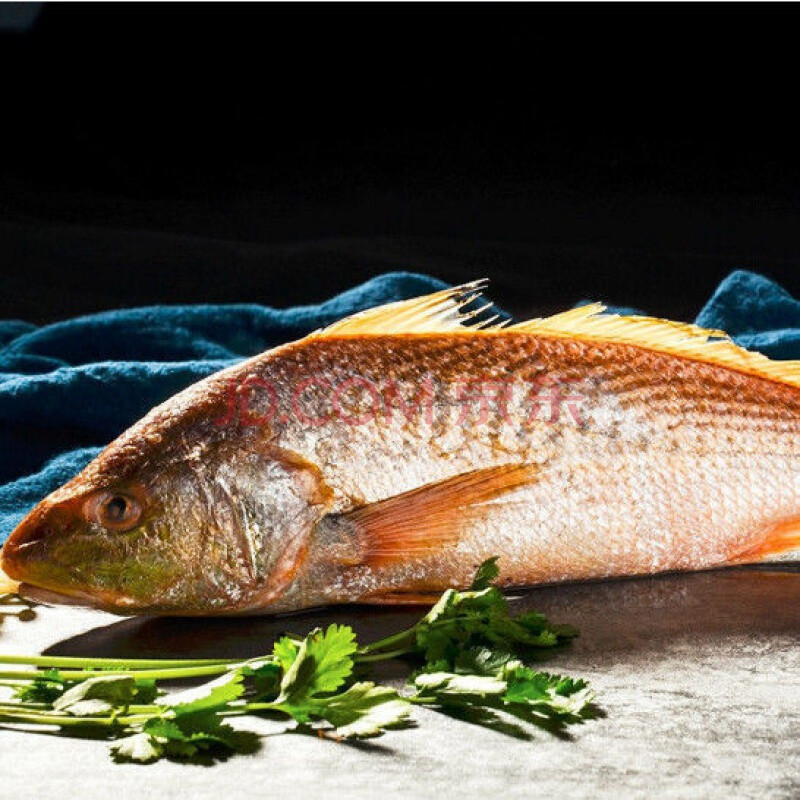 野生大黃魚黃姑魚小黃花新鮮冷凍生鮮鮮活海鮮深海魚超大海魚整箱