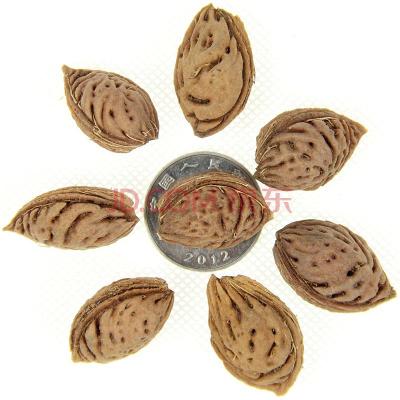 千帆亭毛桃核种子山毛桃树种子毛桃树梅花嫁接砧木果树种子花籽毛桃