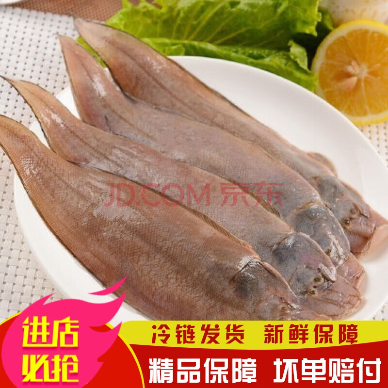 龍利魚新鮮冷凍舌頭魚鮮活踏板魚牛舌魚新鮮海鮮正宗 諾斯食美 三斤裝