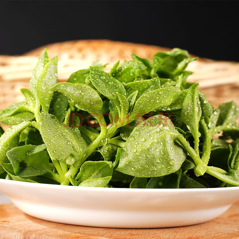 田七叶新鲜蔬菜鲜嫩三七菜叶农家种植野菜新鲜采摘现采现发 1斤 体验