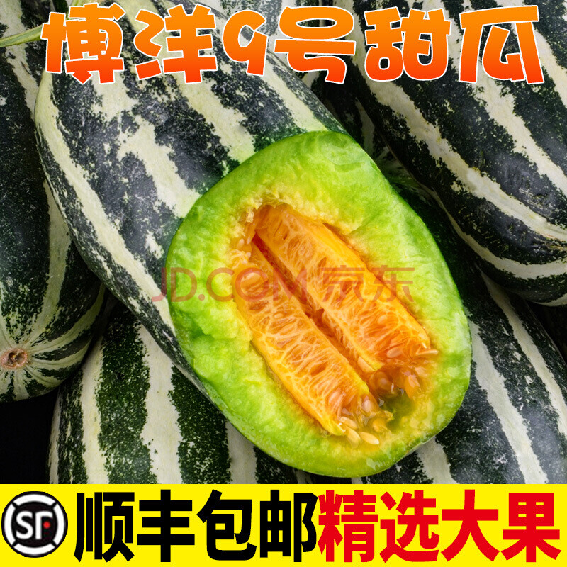 山東博洋9號甜瓜當季新鮮水果羊角蜜九號香瓜整箱甜小脆瓜5斤 5斤大果