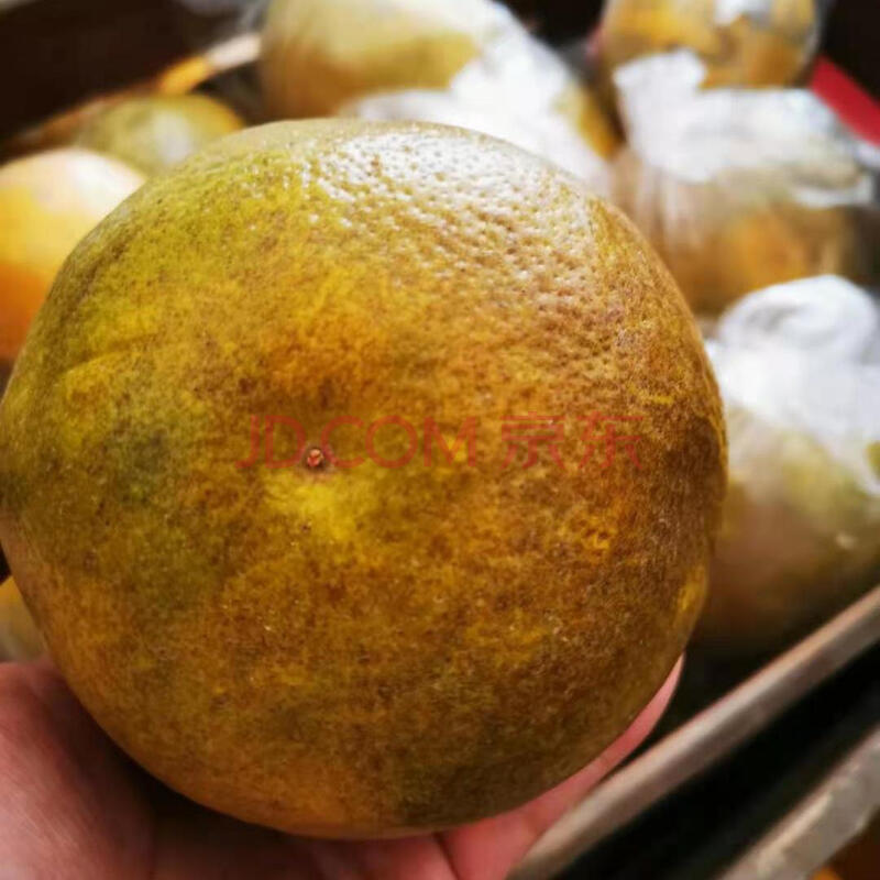 黄心柚正宗常山胡柚10斤整箱批发新鲜水果酸甜微苦非葡萄白心蜜柚 丑