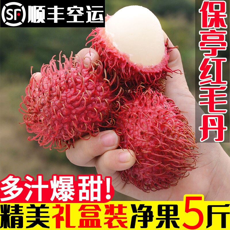 【顺丰空运-礼盒装】海南红毛丹 保亭7号毛丹果新鲜水果毛荔枝净果5斤