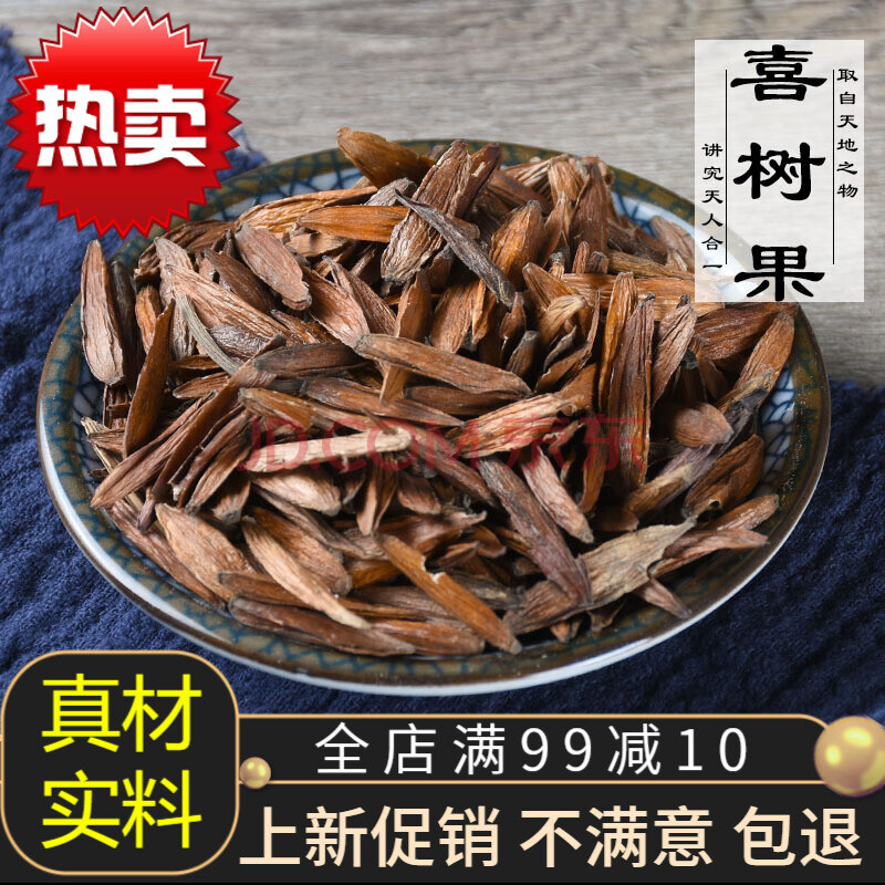 喜树果1000g千丈树产地货源天梓树喜树子