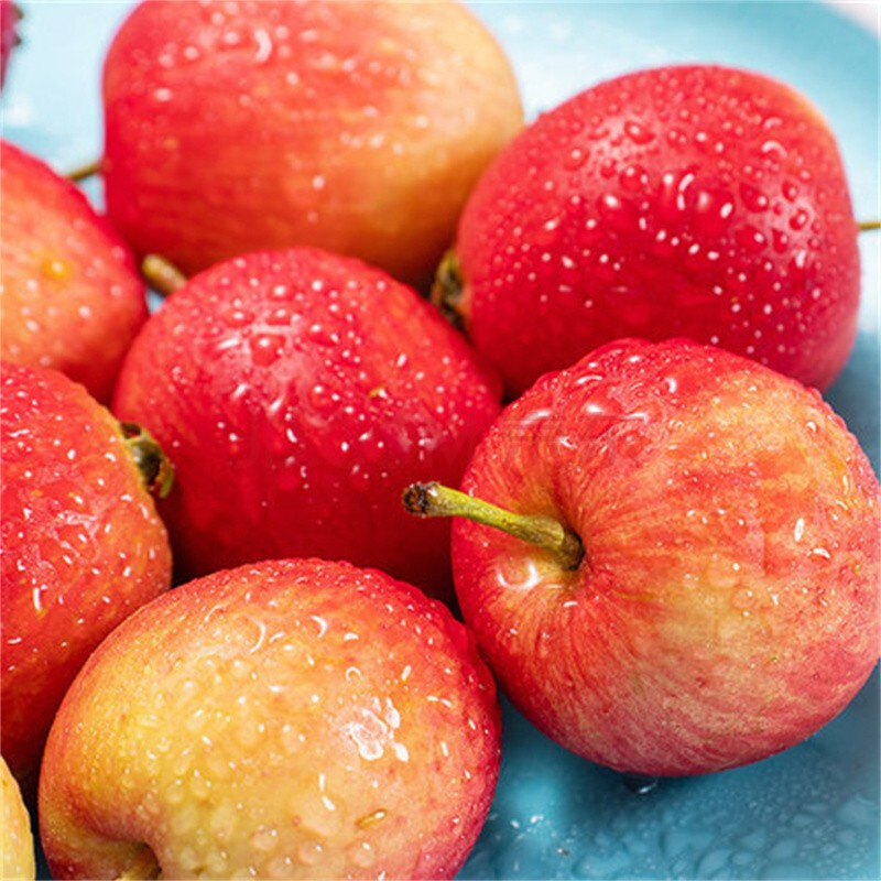 东北k9小沙果5斤装特产开久小苹果鸡心海棠果新鲜孕妇酸水果 5斤