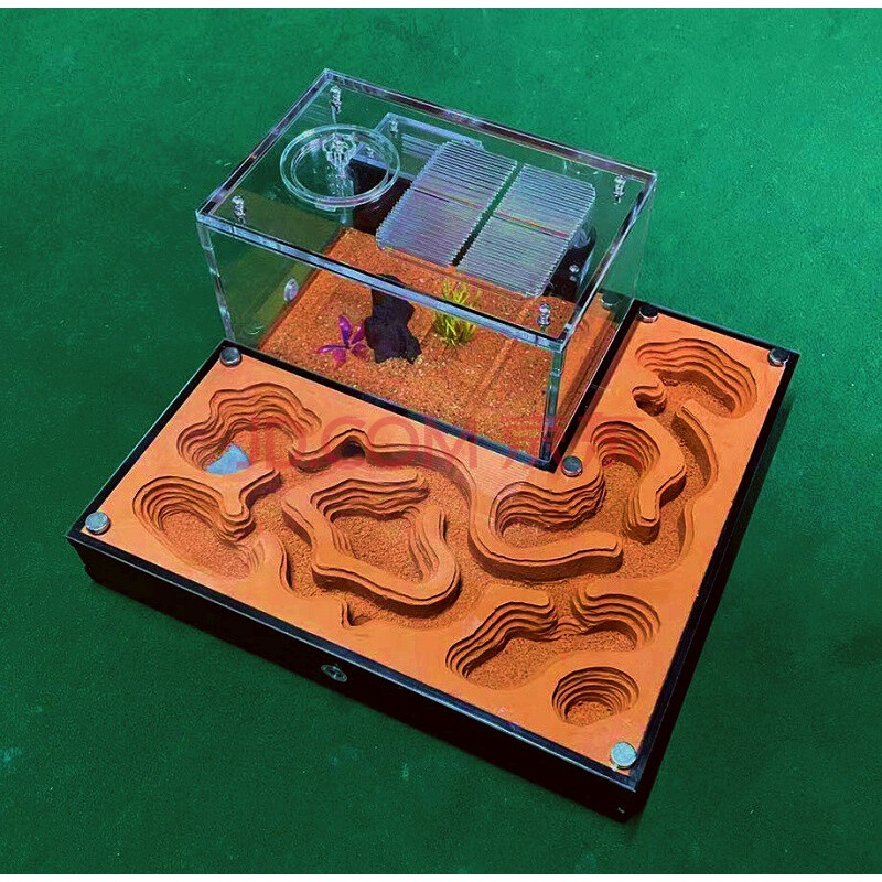 蚂蚁工坊 对战 蚂蚁城堡cc 宠物蚂蚁新型蚂蚁窝 蚂蚁生态蚁巢 蚂蚁