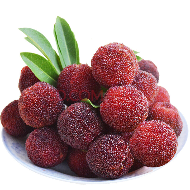 福建特产蜜卡柔杨梅应季新鲜精品水果 孕妇生鲜水果 新鲜杨梅 6斤装