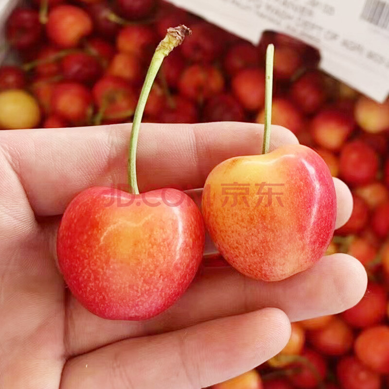 美国黄车厘子3斤雷尼尔黄金车厘子进口黄水晶樱桃 2500g 30mm(含)