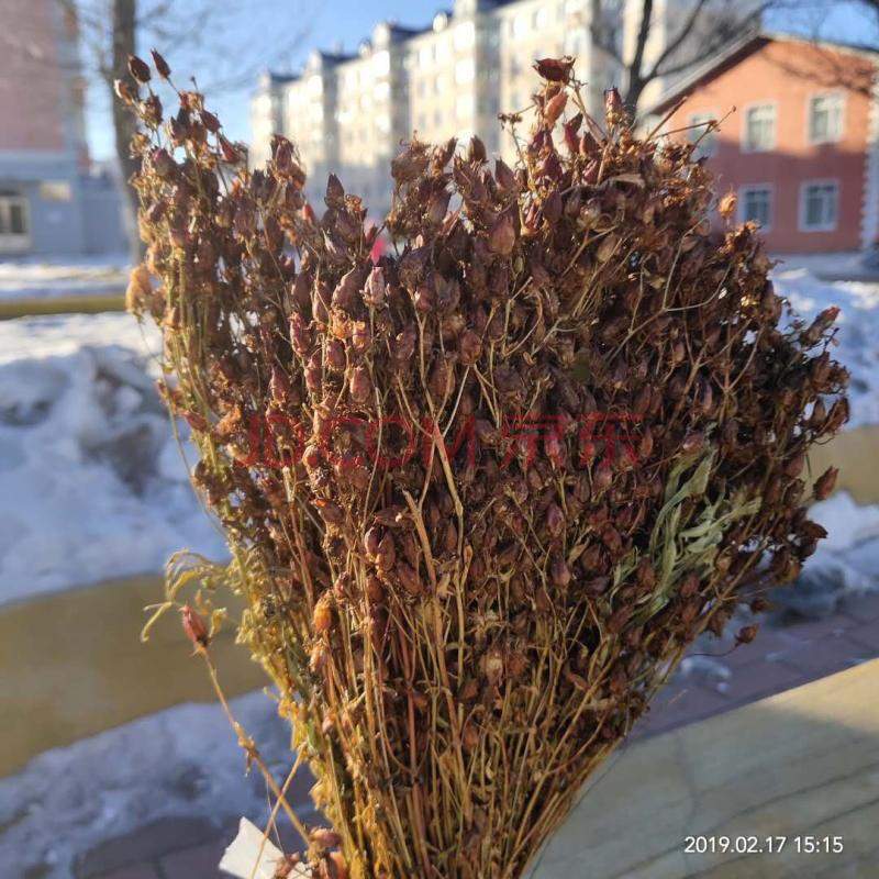 伟博散装东北大兴安岭地区漠河稳心草鹿心草农家自采泡茶泡酒250g