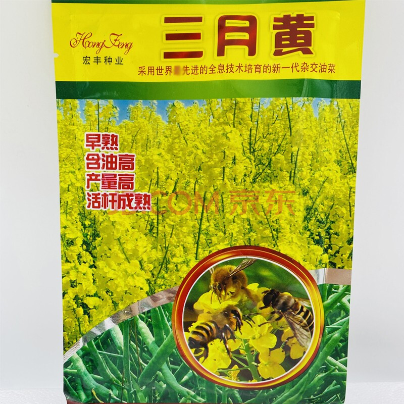 油菜花种子高产耐寒油菜籽种子抗倒适应性广油率高 三月黄/100克