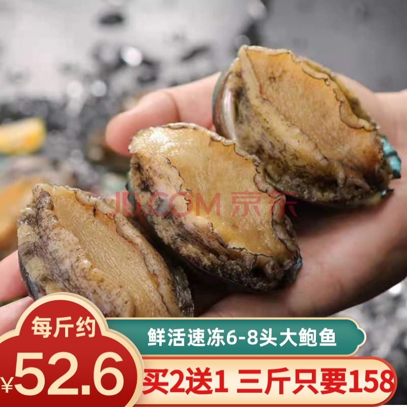 【買2 送1】東悅灣 福建活凍鮑魚撈飯火鍋燒烤食材 生鮮海鮮水產500g