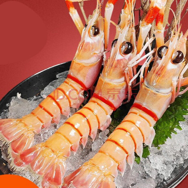 鳌虾深海斯干比2号特大南极虾海刺身 1000g 28-32cm