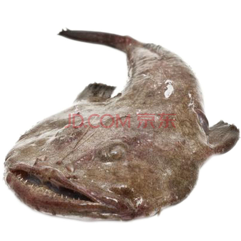 顺丰速运 新鲜海捕舟山安康鱼海鲜绿头鱼特大无骨鱼海鲜水产 10斤/2条