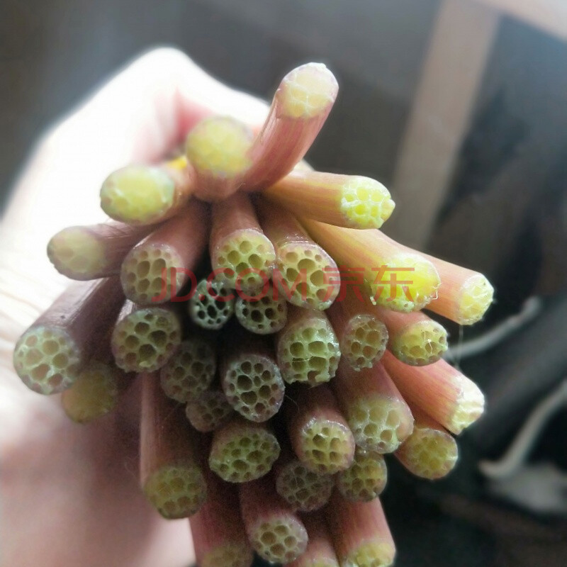 现货湖北洪湖新鲜鸡头梗新鲜梗鸡头菜刺莲梗芡实梗 4斤鸡头梗