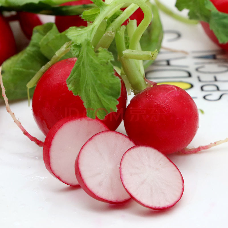 东北樱桃小萝卜新鲜胭脂脆甜红皮迷你红萝卜当季生吃蔬菜 2斤樱桃小