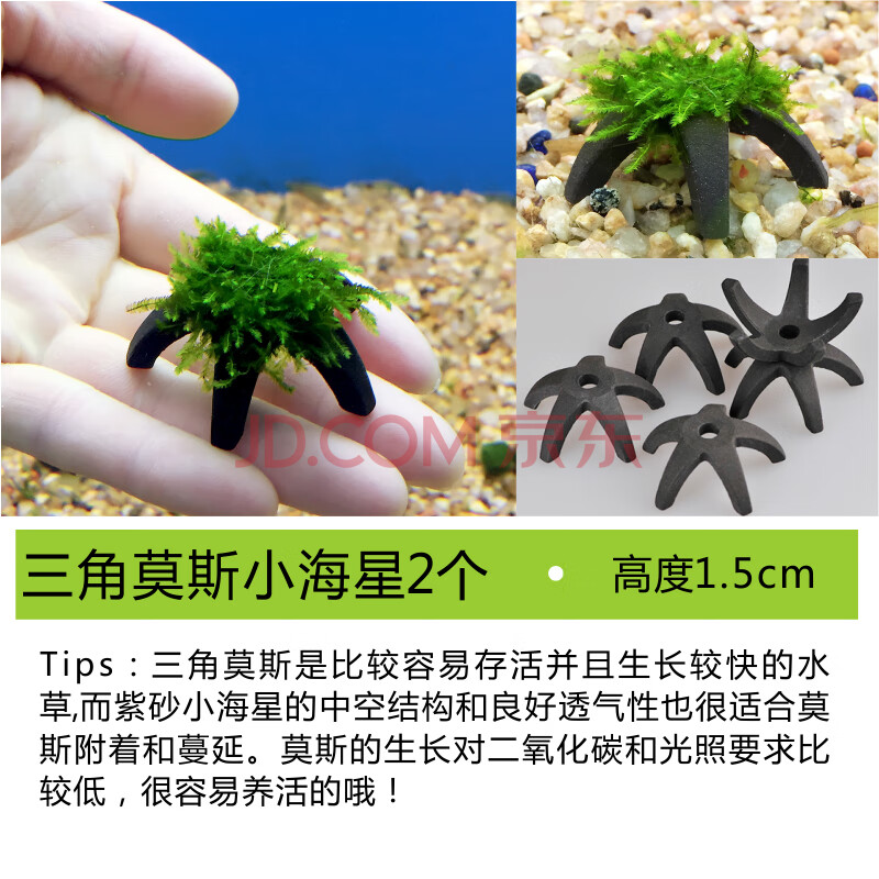 三角莫斯小海星2个【图片 价格 品牌 报价】-京东
