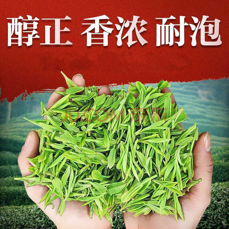 海青绿茶碧螺春日照足赛崂山青岛炒青春茶浓香耐泡 125g【图片 价格
