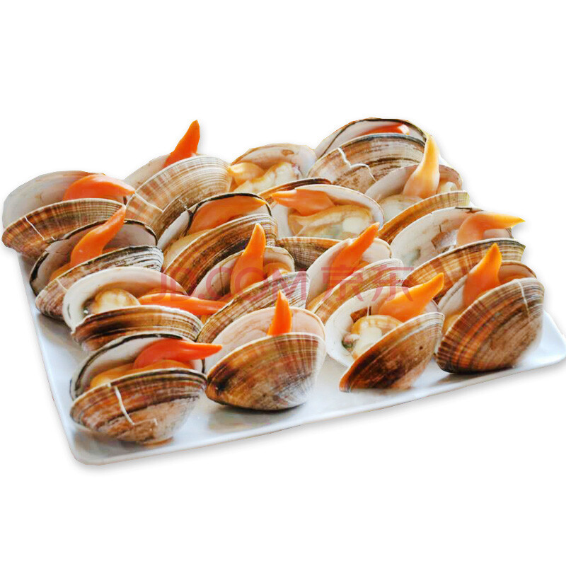 【小城东港】丹东大黄蚬子鲜活特产海鲜新鲜无沙水产4斤顺丰