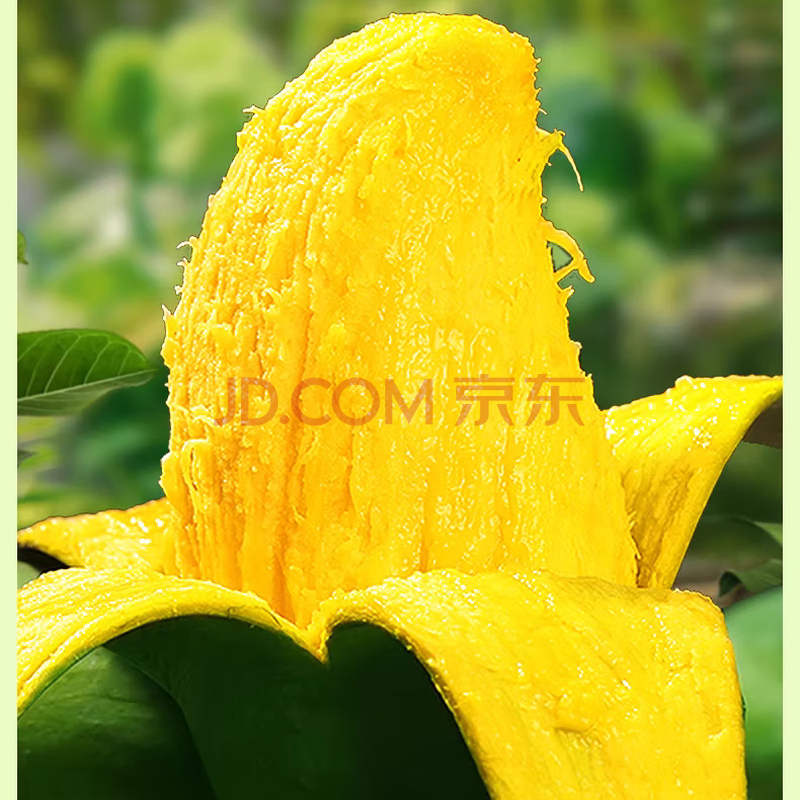 ڹâ2ϲһ䷢âˮѡâ4.25-4.5Ƥش17.9Ԫ2ȯ