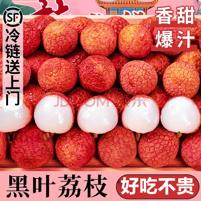 ӭҶ֦JD˳ˮӦ֦ʹ㶫ժַ㾻4.5-5ﾫѡ15g+24.8Ԫ