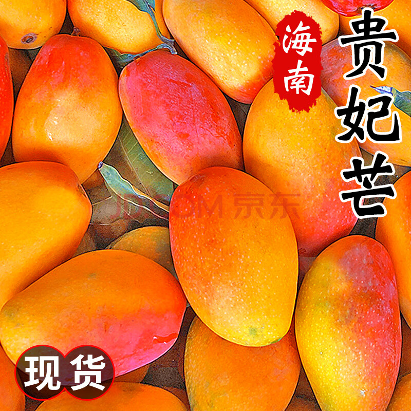 ӭ  ϹâժȴˮӦ  4.5-5ﾫѡ100g+12.79Ԫ