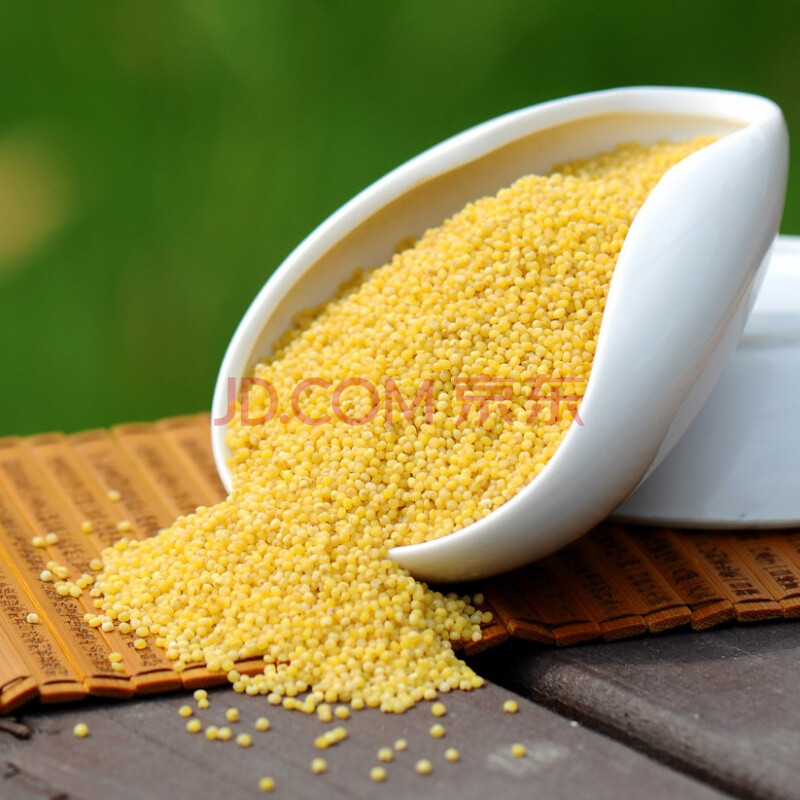 黄小米种子 谷种 五谷杂粮小谷子小糯米狗尾粟种子黑小米种子 黄小米
