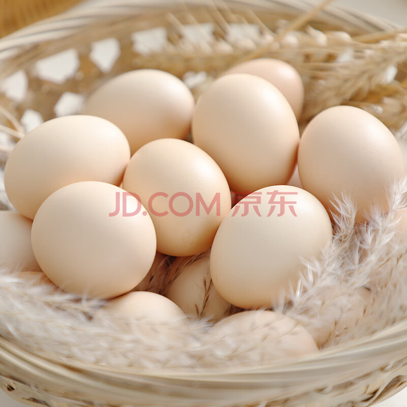 ɢＦʼι񼦵ö405g6ö4.9Ԫ