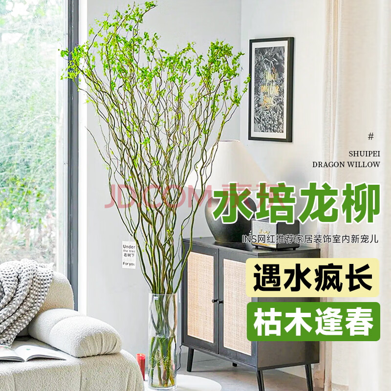 京东(JD.COM)-正品低价、品质保障、配送及时、轻松购物！