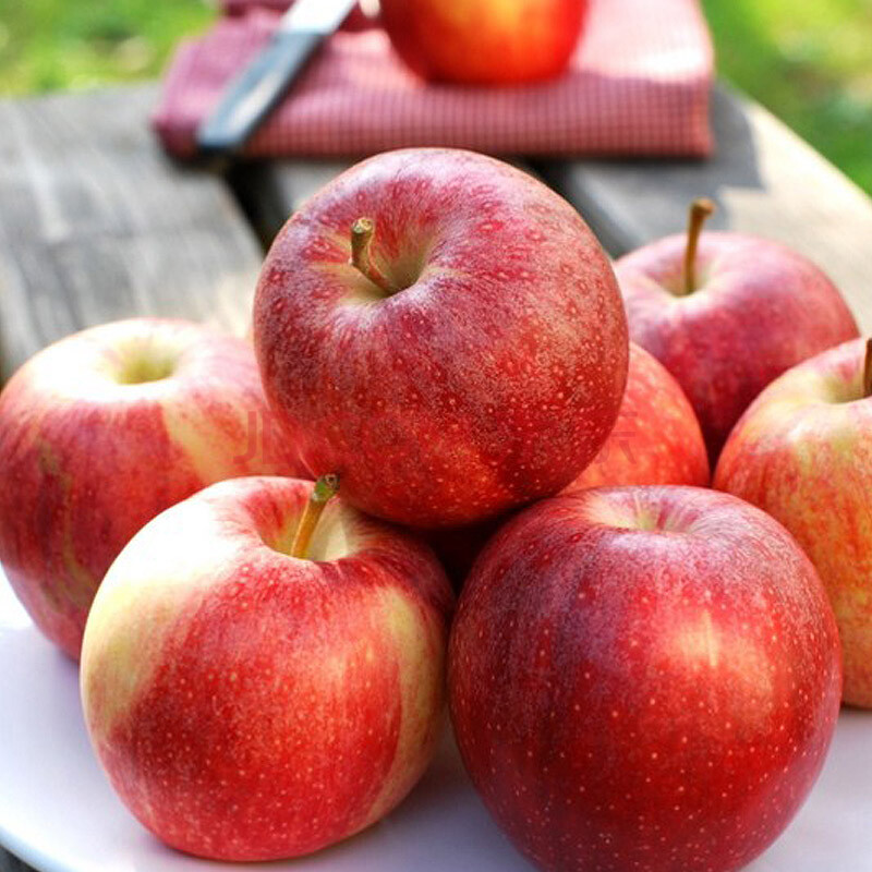 新西兰进口皇家姬娜苹果 加力果 3kg装 一级果 单果重约130-170g 新鲜