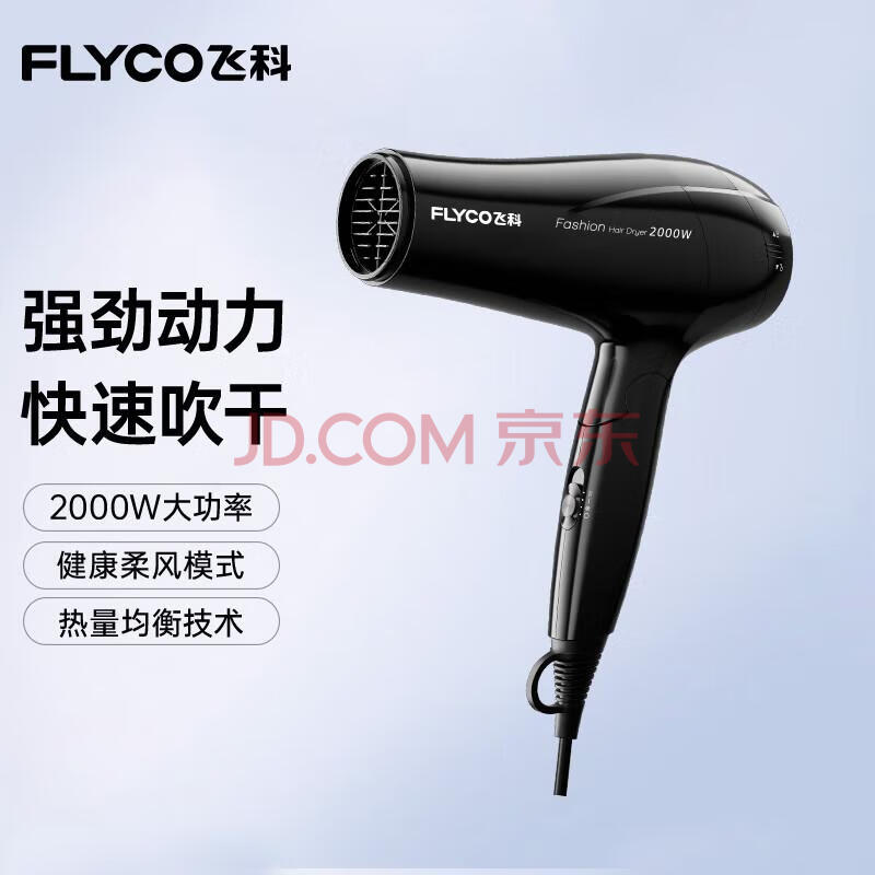 ɿƣFLYCO紵ôʸӴͲ˷ٸСɱЯרҵɳ硾2000Wʿ۵FH623159.9Ԫ