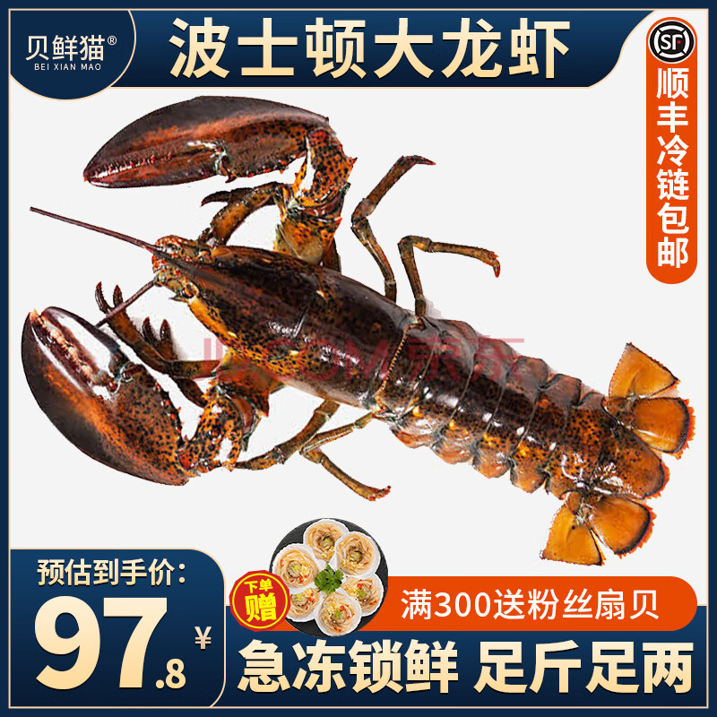 ڲèʿϺ䶳ôڴϺʺʽƷʶ0.9-1.1/ֻ97.8Ԫ
