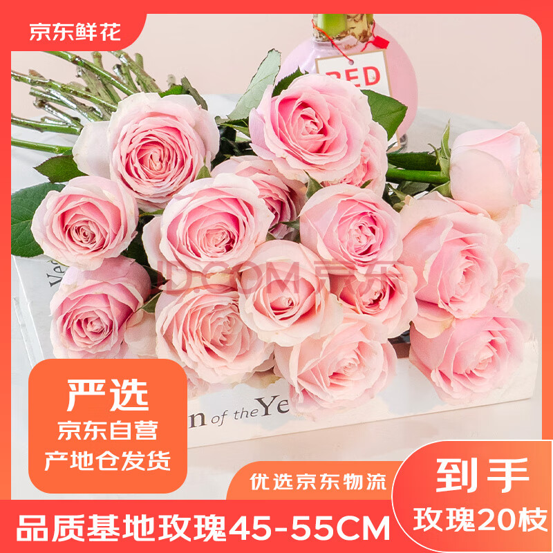 PLUSԱʻ  زѡõ45cm-55cm ɫ20֦24.65Ԫ