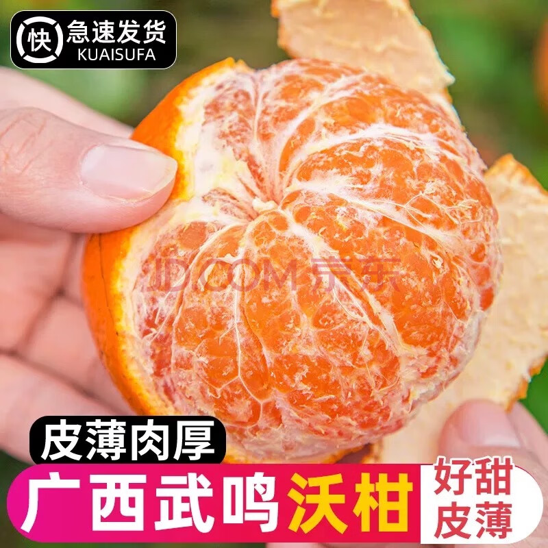 ڲݹ߹̵ָˮٳȽӱƤժ4.5-5ѡ60-65mm19.8Ԫ