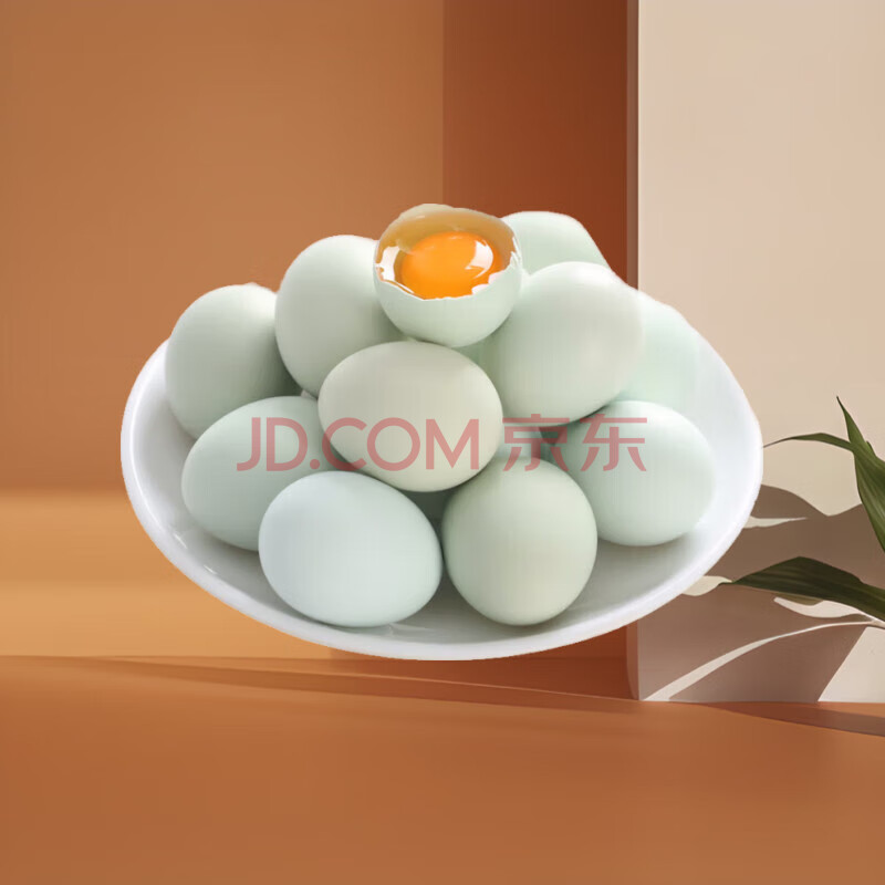 ʼũɢ̿ǵڼ10ö11.9Ԫ
