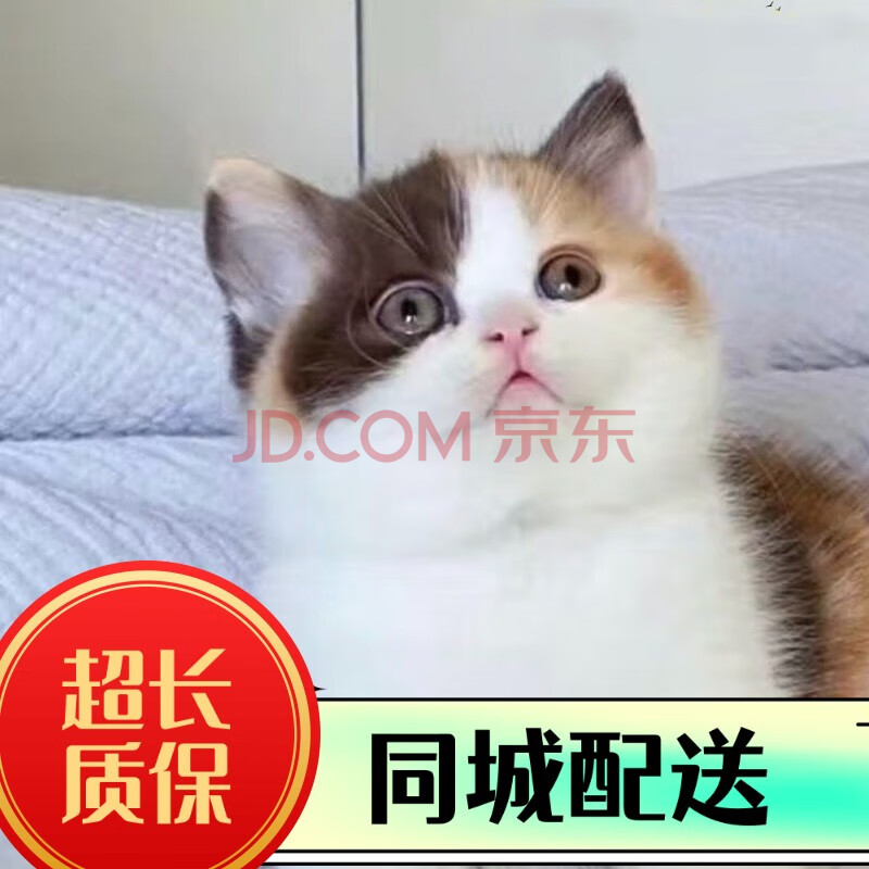 л԰Сè԰èèèèè껨è԰èĸèң298Ԫ