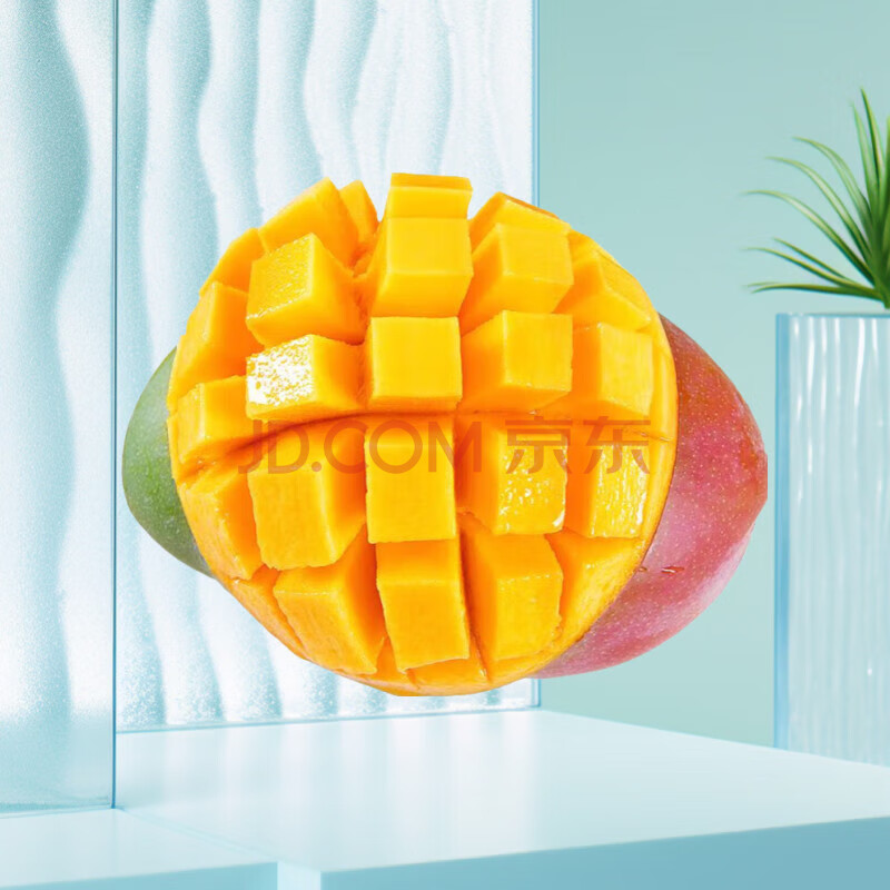 ѡĴ֦â2ϲһ䷢ˮâѡâ4.25-4.5ش14.9Ԫ2ȯ