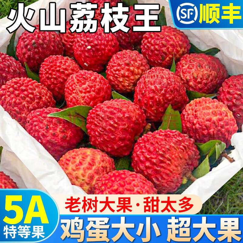 羣CAITIϻɽ֦ˮ֦֭иʱˮ侫ѡ3һ9-11ͨװ59.9Ԫ