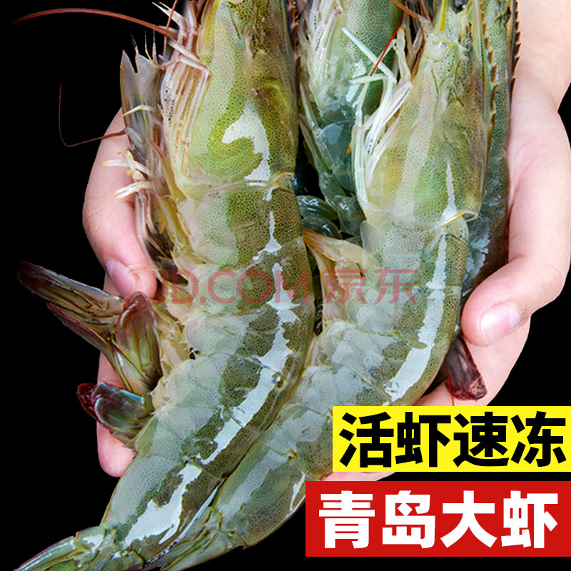 ܰϺϺٶൺϺϺˮʻ䶳ϺϺ16-18cm3()Ϻٶ49.9Ԫ
