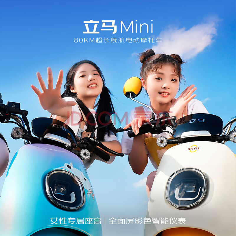  綯Ħг 60V20Ah1200Wܻ1999Ԫ