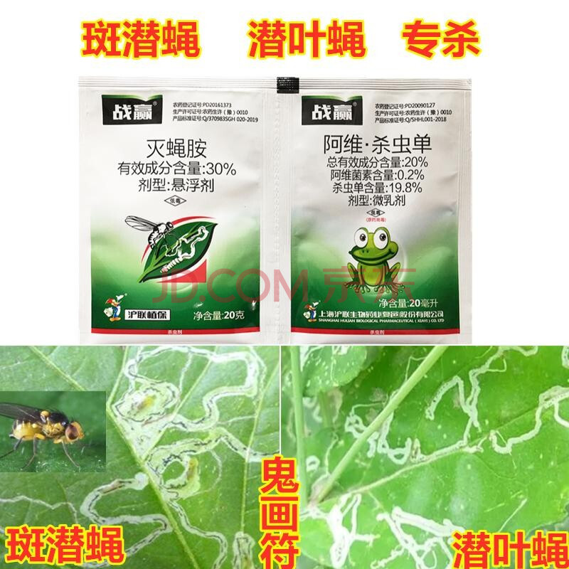 鬼画符农药斑潜蝇潜叶蝇专用杀虫剂灭蝇胺阿维菌素杀虫单蔬菜通用 40g