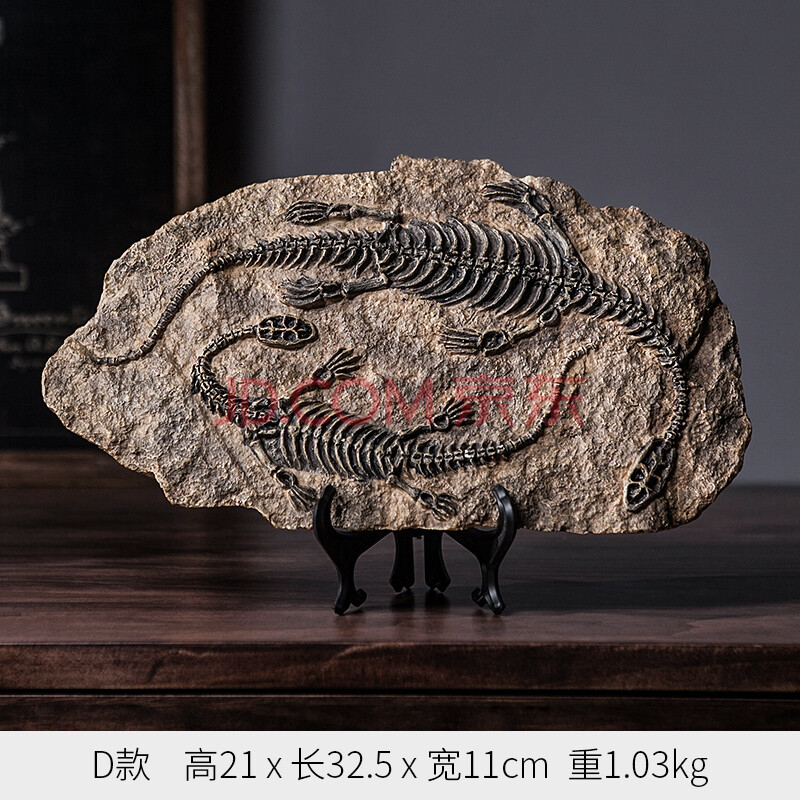 拓进(tuojin)创意复古恐龙标本化石模型摆件书柜客厅家居酒柜装饰品