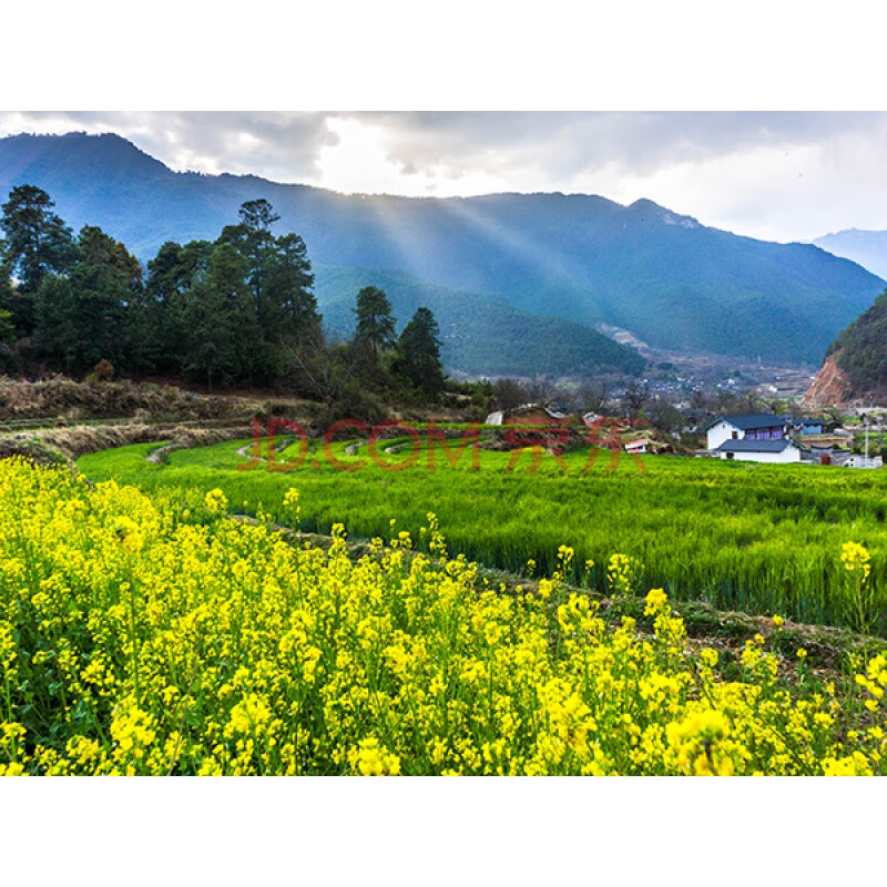 直播间农村大自然图直播背景墙3d立体窑洞大草原景背景 农村背景2米宽