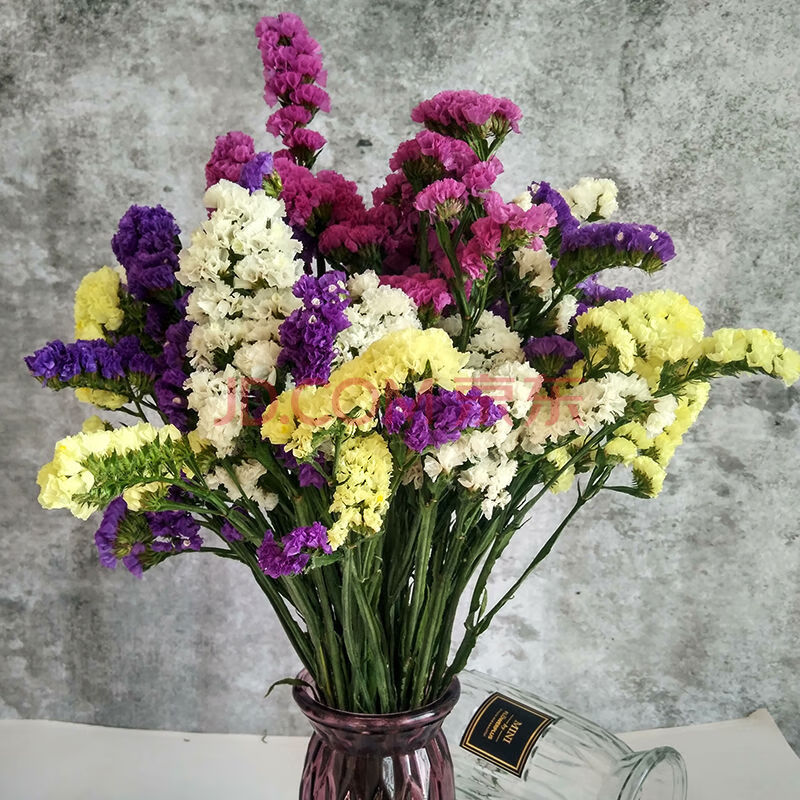 起皇 云南天然干花花束勿忘我大束情人草水晶草满天星家居摆设装饰 30