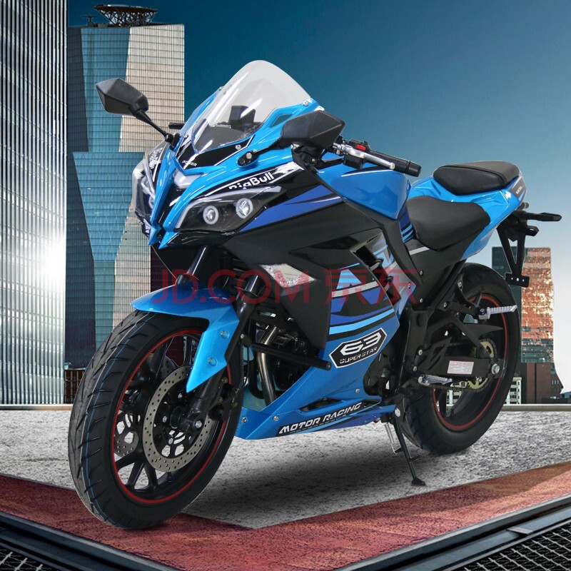趴赛公路赛摩托车200cc/400cc双缸水冷可上牌摩托车 国威蓝/黑2号花