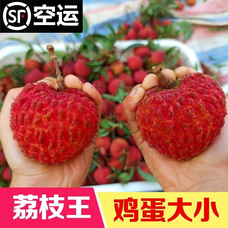 羣CAITIڻɽ֦ˮ֦֭иʱˮ3װ+һ(12-14)59Ԫ