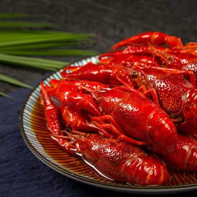 生鲜活体小龙虾清水大龙虾河虾5-9钱麻辣味十三香 【清水小龙虾】5斤